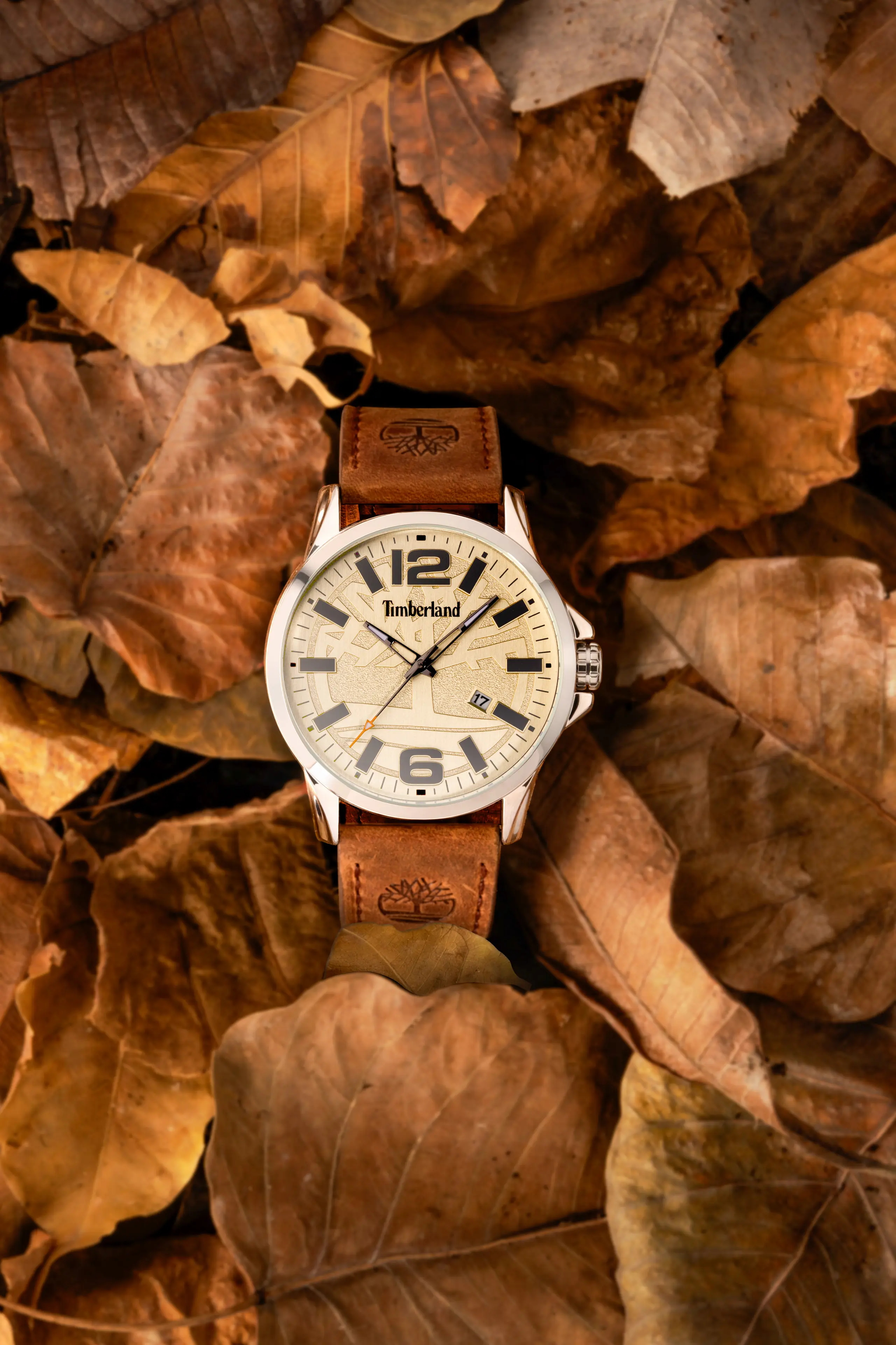Brand Shoots: Watches project photo 22 of 25