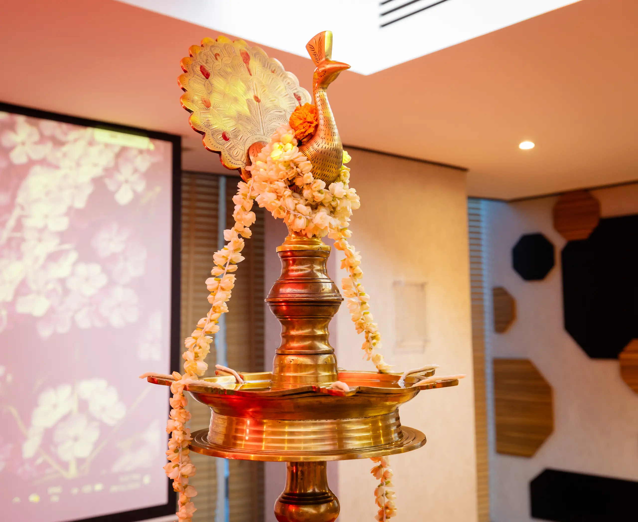 Events: Jiva Ayurvedic Launch project photo 1 of 5